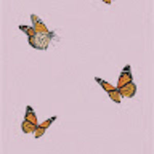 Meet your Posher, Gabby